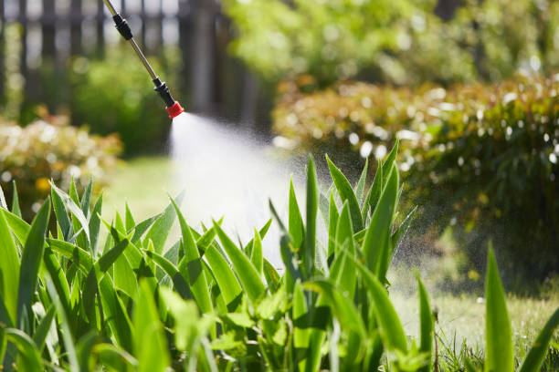 24/7 Emergency Wasp Removal experts in Steele, AL