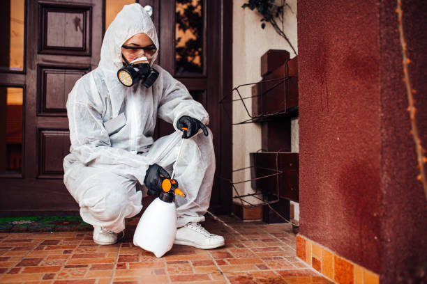 Reliable Wasp Removal contractor in Steele, AL by Show Me Pest Control